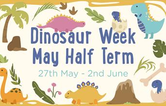 Dinosaur week - may half term