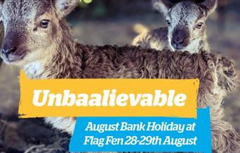 Unbaalievable August Bank Holiday at Flag Fen