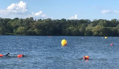 Open water swimming at Nene Park