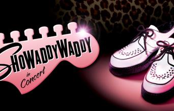 Showaddywaddy - New Theatre, Peterborough