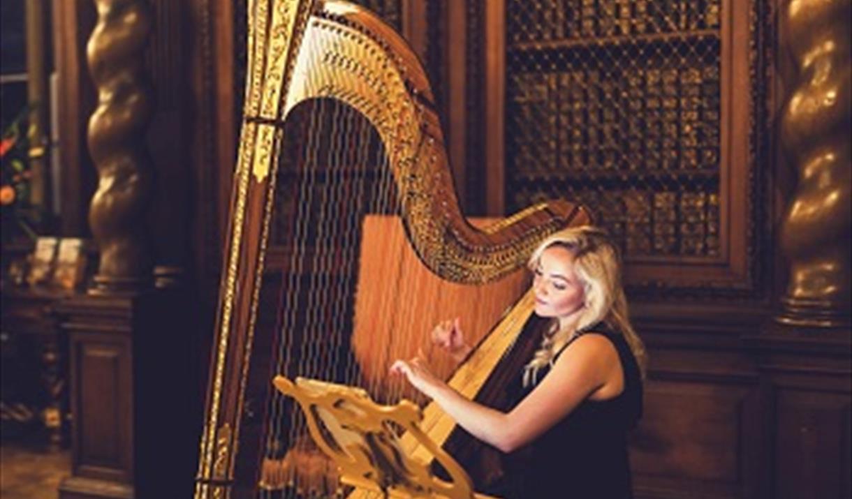 Burghley_twilight_harpist