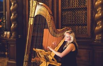 Burghley_twilight_harpist
