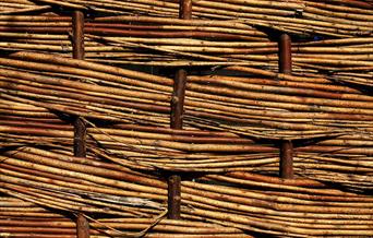 Willow Weaving Stock Image