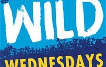 Wild Wednesday
