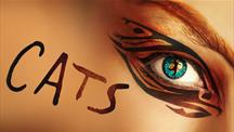 An extreme close-up of a human face showing a single blue-green eye with a cat-shaped reflection in the pupil. The surrounding skin is painted with bold, black and orange stripes resembling a cat’s fur pattern. The word "CATS" is displayed in large, stylized letters to the left of the eye. The overall image is warm and dramatic, evoking the theme of cats and feline mystery.
