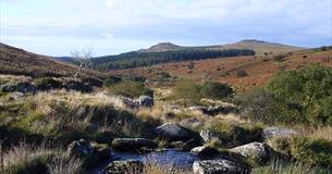 Talk & Film - Dartmoor: The Source of Many Rivers