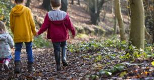 October Half Term at Buckland Abbey