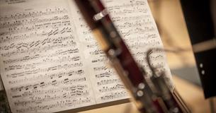 Plymouth University Orchestra Summer Concert