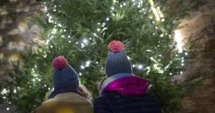 Two people in woolly hats looking up at a Christmas tree covered in lights