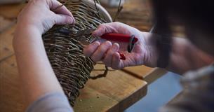  Crafting a willow bird house workshop
