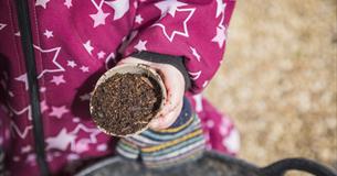 A child's hand holding a container of seed-planting soil