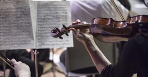 University of Plymouth Orchestra Summer Concert