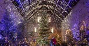Visitors admiring the Christmas decoration in the Medieval Barn at Buckland Abbey, Devon