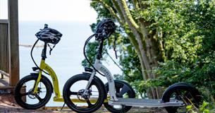 Electric Scooter and Mountain Bike - Downhill experience in Mount Edgcumbe Country Park