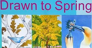 Drawn to Spring