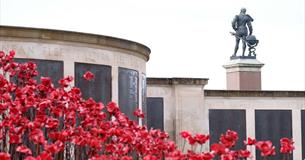 Poppies: Wave