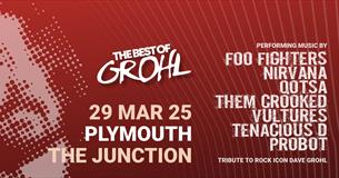 The Best Of Grohl