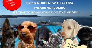 Bring a buddy to Tinside Lido