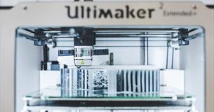 Wild About Plymouth: Skulls in 3D Printing