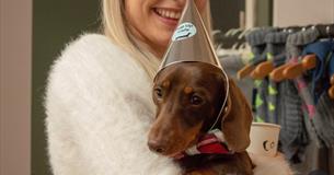 Pup Up Cafe - Dachshund Edition