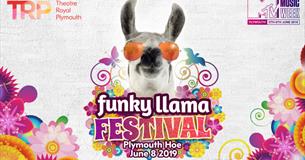 Funky Llama Festival