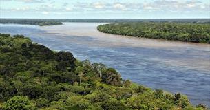 The survival of the Amazon rainforest is under threat