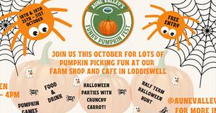 A poster with spiders, pumpkins and cobwebs.