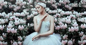 Birmingham Royal Ballet's Swan Lake