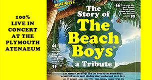 The Story of The Beach Boys - A Tribute