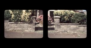 An image of a suburban garden gate