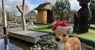 Christmas Woodland Adventure Golf