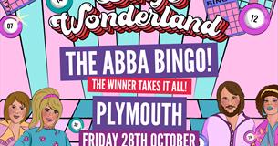 Bingo Wonderland
