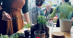 Spring Terrarium Workshop