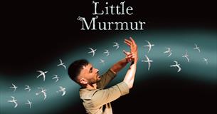 Little Murmur