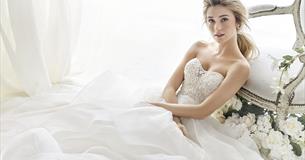 Dream Wedding Extravaganza