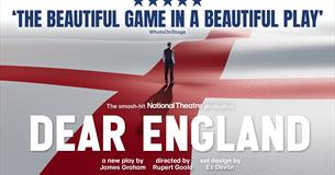 England flag with Southgate stood.