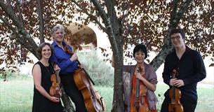 Music: Dante Quartet
