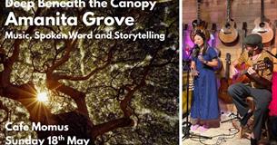 Deep Beneath the Canopy - Amanita Grove