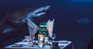 Tables set for a romantic dinner for two with sharks swimming in the large tank in the background.