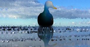Autact present 'The Duck' (Relaxed Performance)