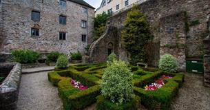 A view of the garden