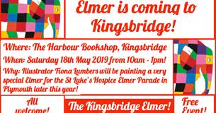 Celebrate and Paint the Kinsgbridge Elmer for the St Luke's Hospice Elmer Parade in Plymouth!