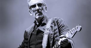 Elvis Costello