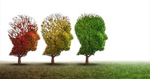 Living with Dementia: Rural Issues and Solutions