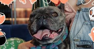 Howl-o-ween at Brewdog