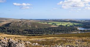 Dartmoor National Park