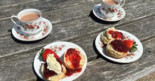 Cream tea tour at Bridging the Tamar