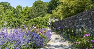 A path in a walled garden lined with colourful flowers and leading down to a greenhouse