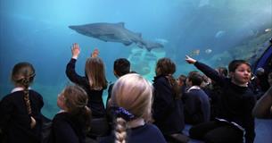 Talks and demonstrations at the National Marine Aquarium Plymouth