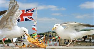 I Am Martin Parr